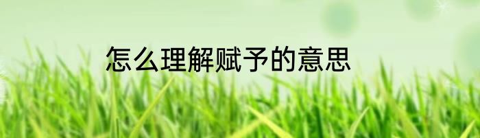 怎么理解赋予的意思
