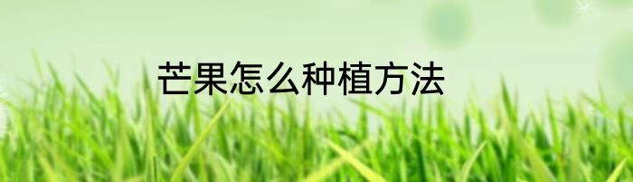 芒果怎么种植方法