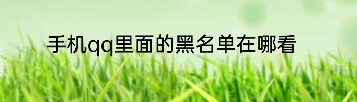 手机qq里面的黑名单在哪看