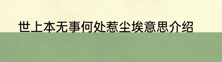 世上本无事何处惹尘埃意思介绍
