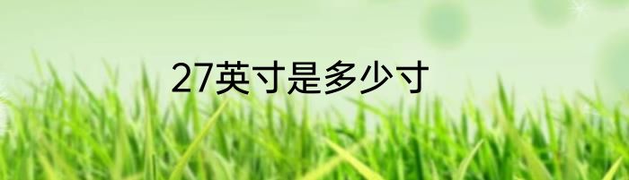 27英寸是多少寸