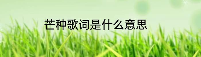 芒种歌词是什么意思