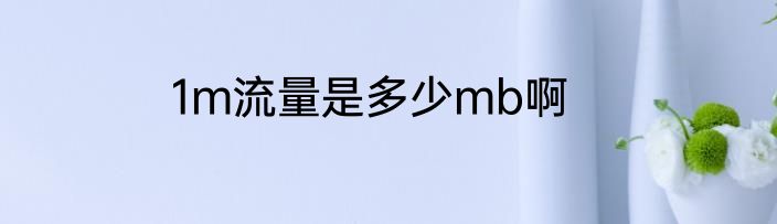 1m流量是多少mb啊