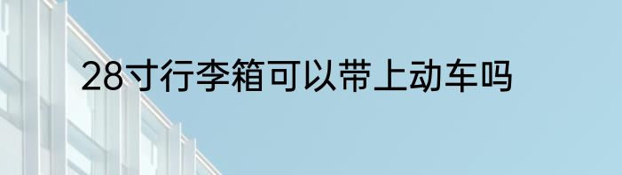 28寸行李箱可以带上动车吗