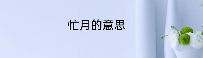忙月的意思