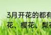 3月开花的都有什么花3月开花的有桃花、樱花、梨花、迎春花