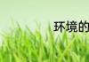 环境的概念是什么