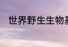 世界野生生物基金会的会徽是什么