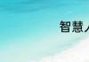 智慧人社是什么