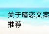 关于暗恋文案句子关于暗恋文案句子推荐