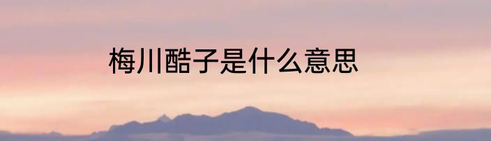 梅川酷子是什么意思