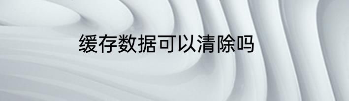 缓存数据可以清除吗
