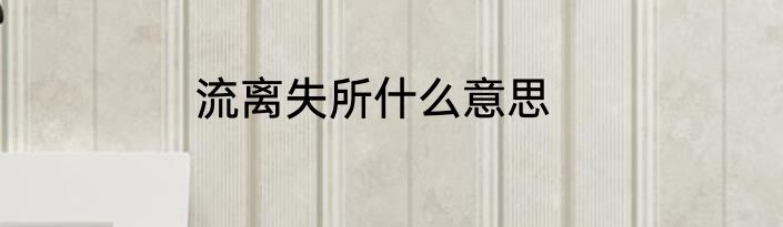 流离失所什么意思