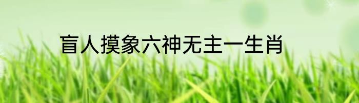 盲人摸象六神无主一生肖
