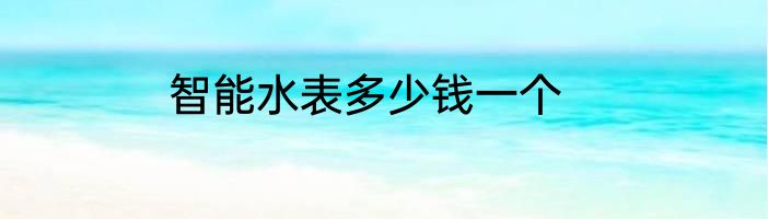 智能水表多少钱一个