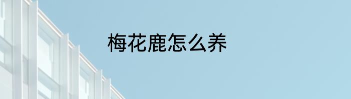 梅花鹿怎么养