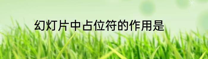 幻灯片中占位符的作用是