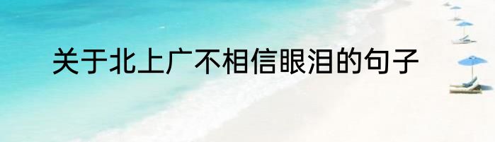 关于北上广不相信眼泪的句子