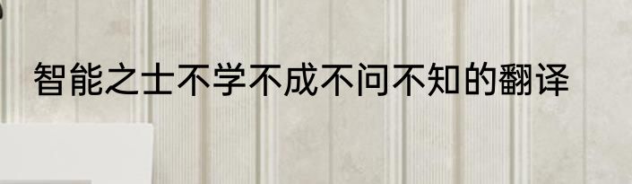 智能之士不学不成不问不知的翻译