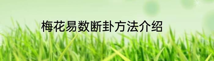梅花易数断卦方法介绍