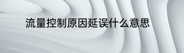 流量控制原因延误什么意思