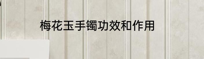梅花玉手镯功效和作用