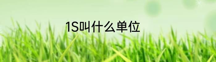 1S叫什么单位