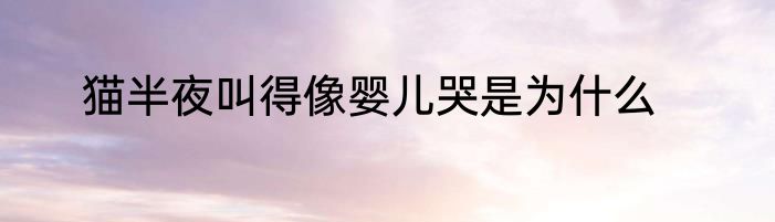 猫半夜叫得像婴儿哭是为什么
