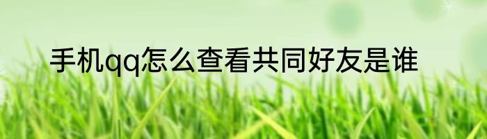 手机qq怎么查看共同好友是谁