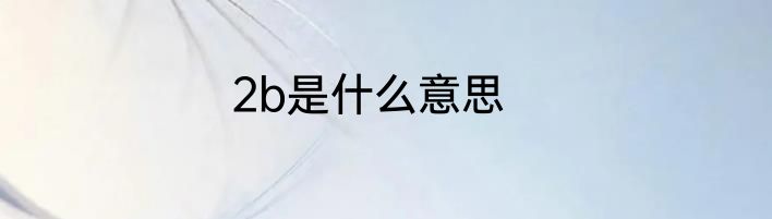 2b是什么意思