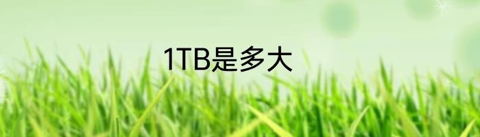 1TB是多大
