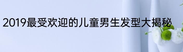 2019最受欢迎的儿童男生发型大揭秘