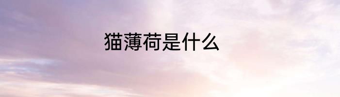 猫薄荷是什么