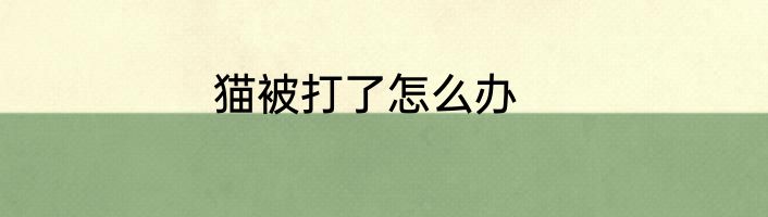 猫被打了怎么办