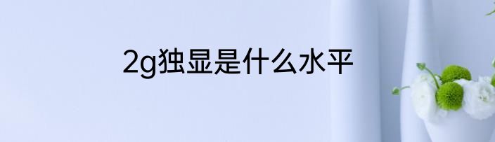 2g独显是什么水平