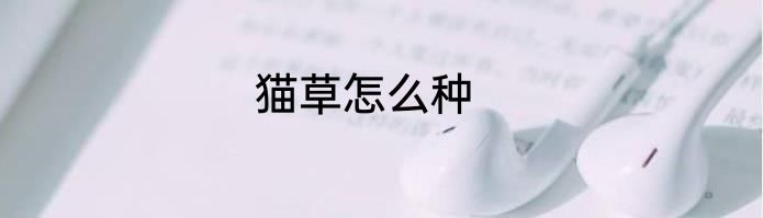 猫草怎么种