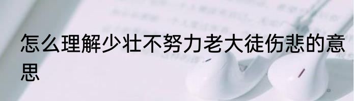 怎么理解少壮不努力老大徒伤悲的意思