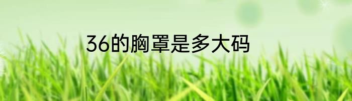 36的胸罩是多大码