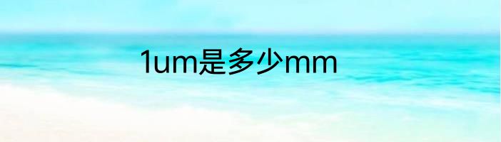 1um是多少mm
