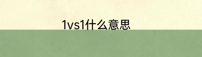1vs1什么意思