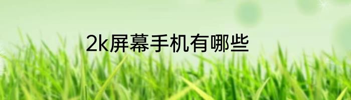 2k屏幕手机有哪些
