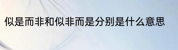 似是而非和似非而是分别是什么意思