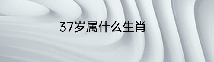 37岁属什么生肖