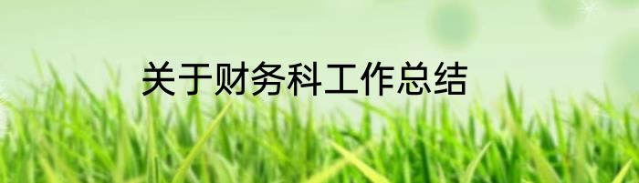 关于财务科工作总结
