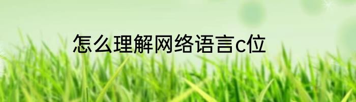 怎么理解网络语言c位