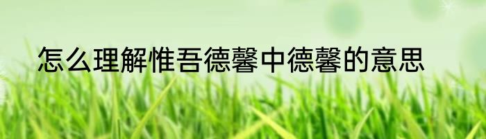 怎么理解惟吾德馨中德馨的意思