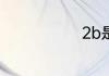 2b是什么意思