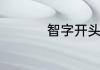 智字开头的成语有哪些