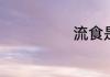 流食是什么意思