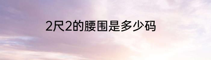 2尺2的腰围是多少码